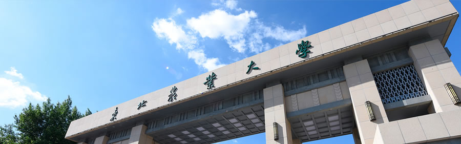 9.东北农业大学 (1).jpg