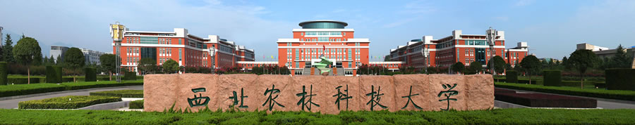 42.西北农林科技大学.jpg